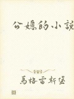 公媳的小说