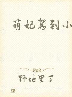 萌妃驾到小说封面