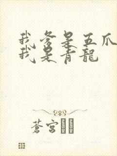 我爹是五爪金龙我是青龙