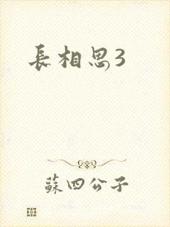长相思3封面