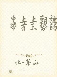 皇上上朝被迫坐带有玉势的龙椅