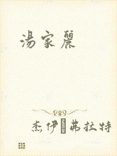 汤家丽封面