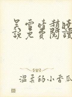 吴雪晴赵晓东小说免费阅读