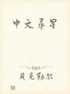 中文寻星