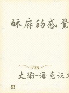 酥麻的感觉小说