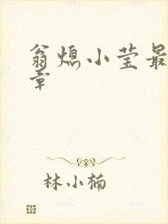 翁熄小莹最新节章