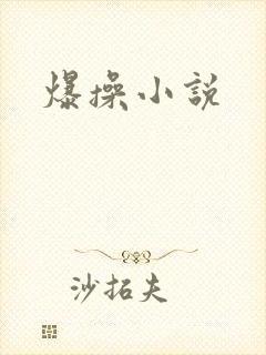 爆操小说