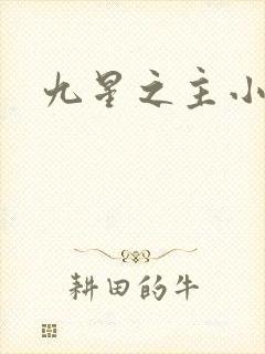 九星之主小说