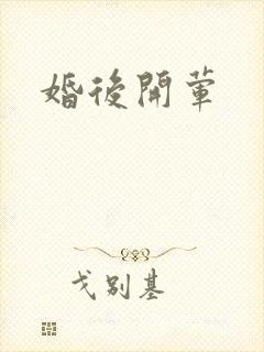 婚后开荤封面