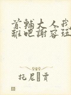 首辅大人我们和离吧谢容珏