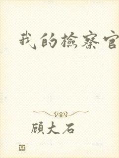 我的检察官先生封面