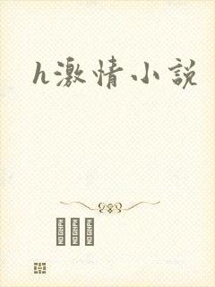 h激情小说