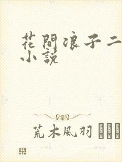 花间浪子二十部小说