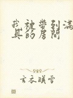 我被带到满是玩具的房间