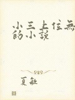 小三上位无三观的小说封面