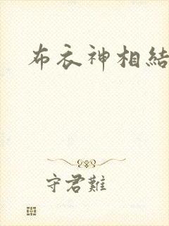 布衣神相结局封面