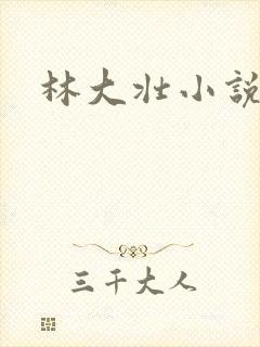 林大壮小说阅读封面
