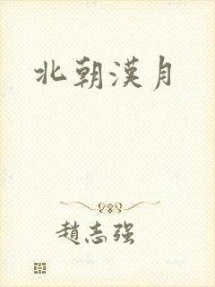 北朝汉月封面