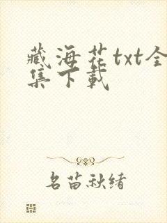 藏海花txt全集下载