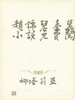 赵锦儿秦慕修的小说免费阅读全文封面