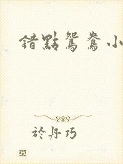 错点鸳鸯小说
