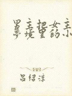 男主把女主拖进梦境里的小说