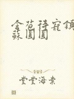 含苞待宠镇国公苏圆圆