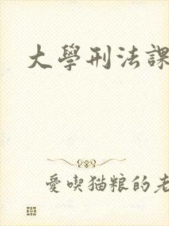 大学刑法课封面