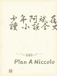 少年阿斌在线阅读 小说全文免费