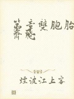 第章双胞胎姐妹齐飞