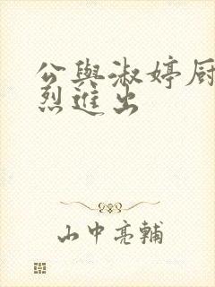 公与淑婷厨房猛烈进出