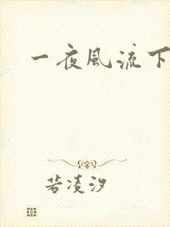 一夜风流下载