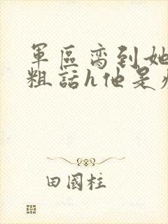 军区脔到她哭h粗话h他是疯批