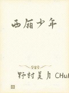 西厢少年封面