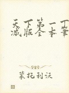 天下第一丁无删减版全本笔趣阁