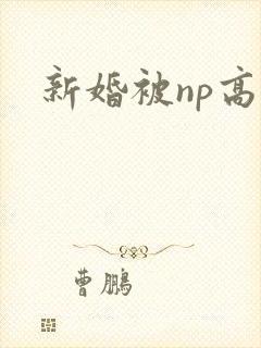 新婚被np高h
