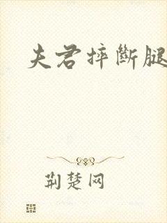 夫君摔断腿后封面