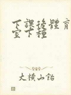 下课后体育器材室下种