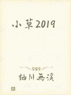 小草2019