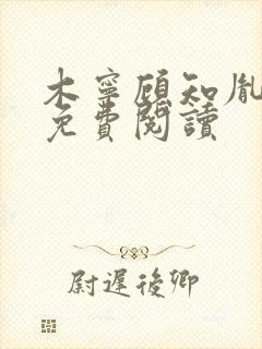 木宁顾知胤小说免费阅读