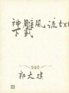 神雕风流txt下载