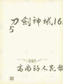 刀剑神域16.5