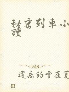 秘密列车小说阅读