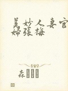 美妙人妻官场少妇张梅