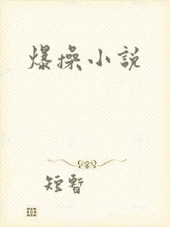 爆操小说