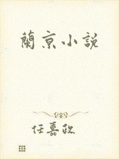 兰京小说