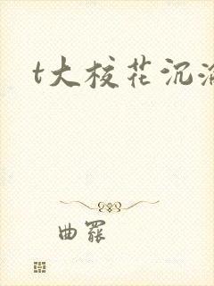 t大校花沉沦