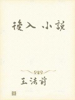 后入 小说