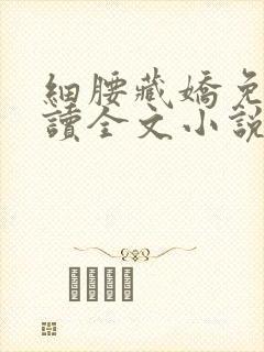 细腰藏娇免费阅读全文小说苏珞浅封面