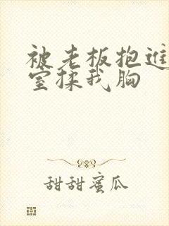 被老板抱进办公室揉我胸封面